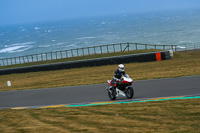 7th-March-2020;Anglesey-Race-Circuit;No-Limits-Track-Day;anglesey-no-limits-trackday;anglesey-photographs;anglesey-trackday-photographs;enduro-digital-images;event-digital-images;eventdigitalimages;no-limits-trackdays;peter-wileman-photography;racing-digital-images;trac-mon;trackday-digital-images;trackday-photos;ty-croes